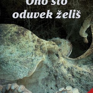 Ono što oduvek želiš