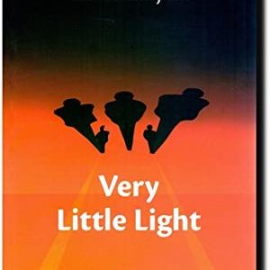 Very Little Light - an omnibua novel