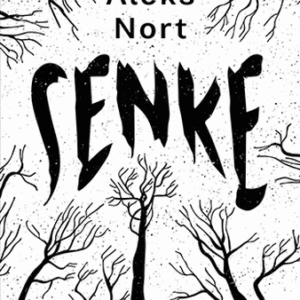 Senke