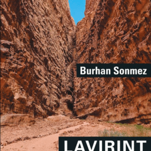 Lavirint- roman