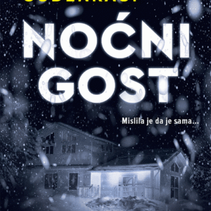 Noćni gost