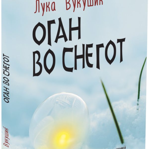 Оган во снегот